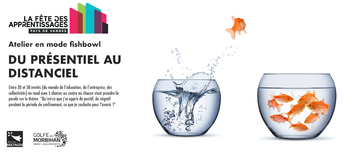 web-atelier-fishbowl-dupresentiel-au-distanciel-2020